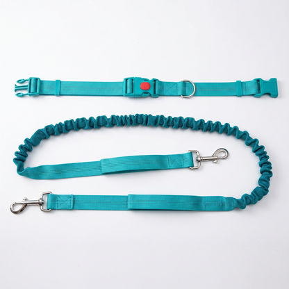 Hands-Free Dog Running Leash Bungee Waist Belt Adjustable Shock-Absorbing Reflective – Pethurst