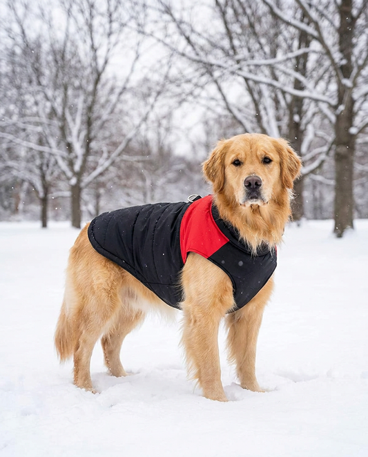 Dog Waterproof Winter Jacket Padded Windproof D-Ring Zip Closure All Breeds XS–6XL – Pethurst